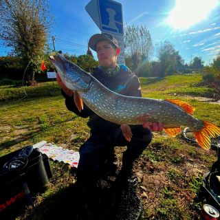 Pro někoho jenom štika ale pro mě osobně cenný poklad z Labe kde není jednoduché chytit štiku 🤩je to na ní vidět že to má...